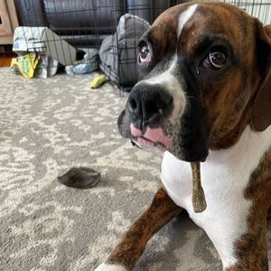 Meet your Posher, Erik